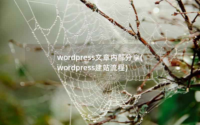 wordpress文章内部分享(wordpress建站流程)