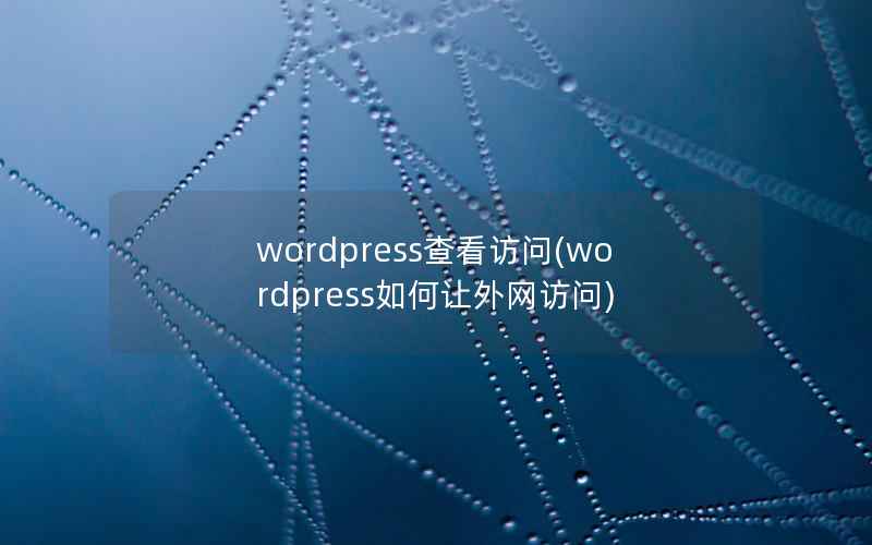 wordpress查看访问(wordpress如何让外网访问)