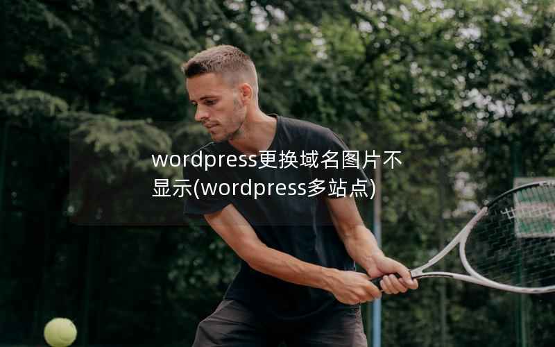 wordpress更换域名图片不显示(wordpress多站点)