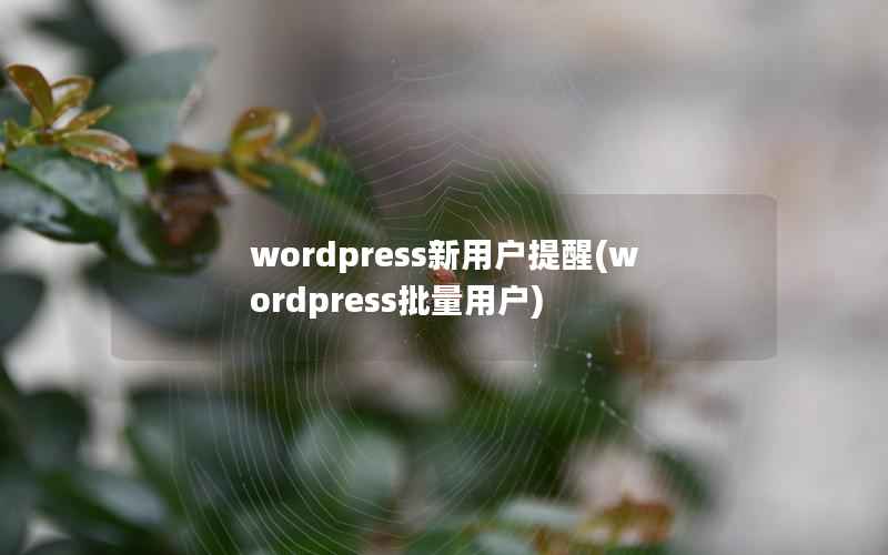 wordpress新用户提醒(wordpress批量用户)