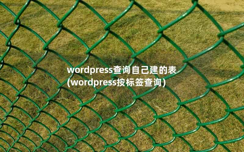 wordpress查询自己建的表(wordpress按标签查询)