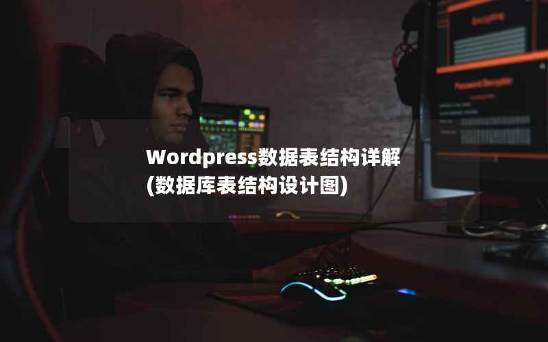 Wordpress数据表结构详解(数据库表结构设计图)