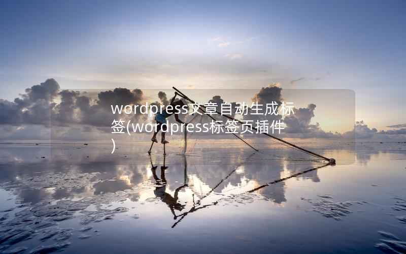 wordpress文章自动生成标签(wordpress标签页插件)