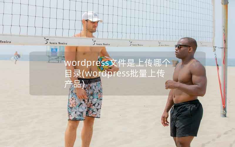 wordpress文件是上传哪个目录(wordpress批量上传产品)