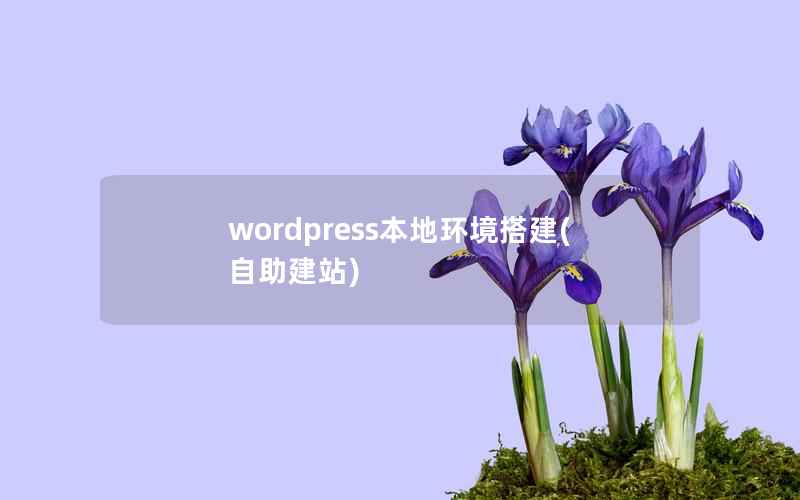 wordpress本地环境搭建(自助建站)