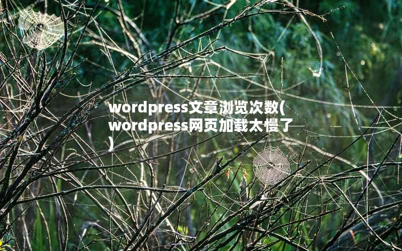 wordpress文章浏览次数(wordpress网页加载太慢了)