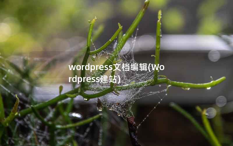 wordpress文档编辑(Wordpress建站)