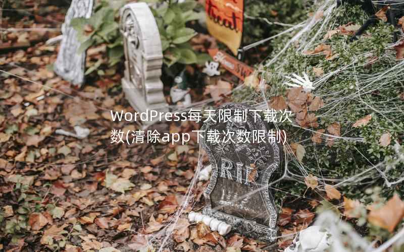 WordPress每天限制下载次数(清除app下载次数限制)