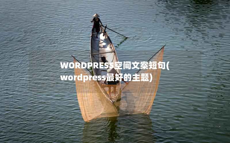 WORDPRESS空间文案短句(wordpress最好的主题)