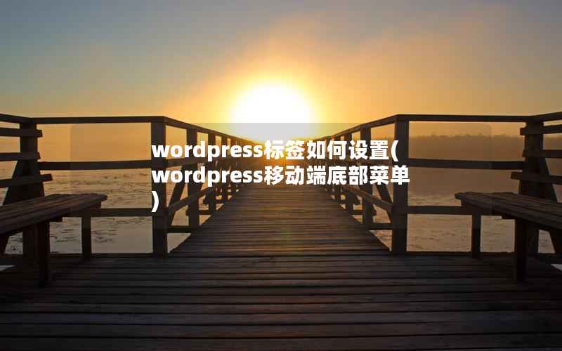 wordpress标签如何设置(wordpress移动端底部菜单)