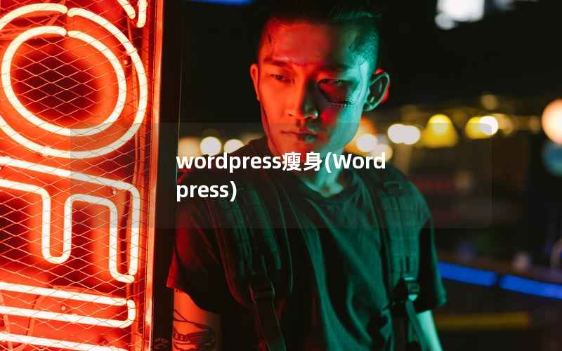 wordpress瘦身(Wordpress)