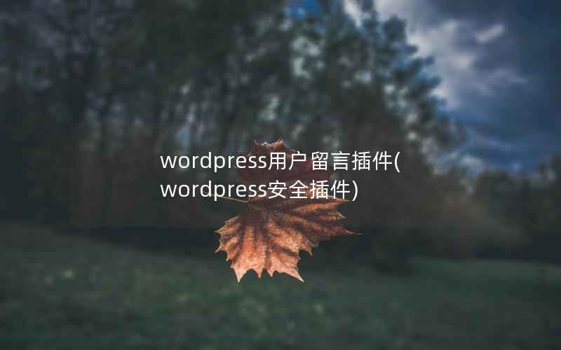 wordpress用户留言插件(wordpress安全插件)