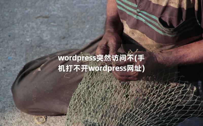 wordpress突然访问不(手机打不开wordpress网址)