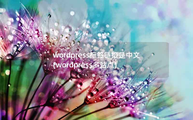 wordpress标签链接是中文(wordpress多站点)