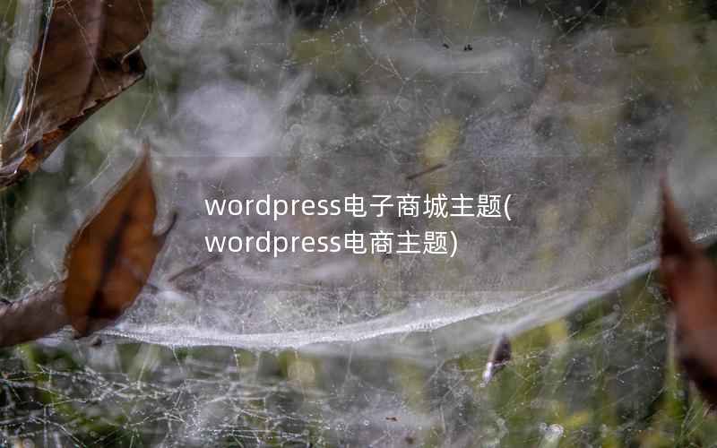 wordpress电子商城主题(wordpress电商主题)