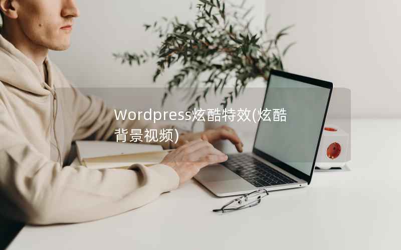 Wordpress炫酷特效(炫酷背景视频)