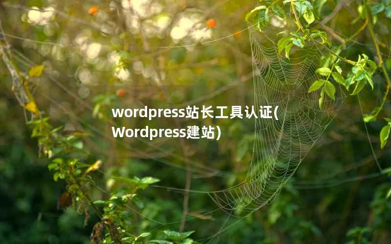 wordpress站长工具认证(Wordpress建站)