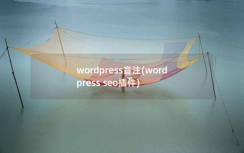 wordpress盲注(wordpress seo插件)