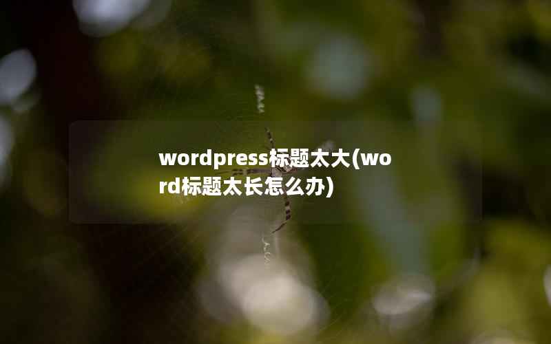 wordpress标题太大(word标题太长怎么办)