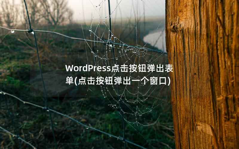 WordPress点击按钮弹出表单(点击按钮弹出一个窗口)