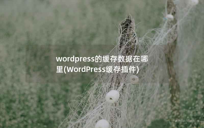 wordpress的缓存数据在哪里(WordPress缓存插件)