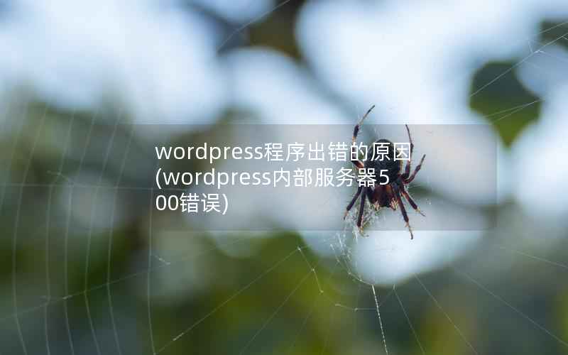 wordpress程序出错的原因(wordpress内部服务器500错误)