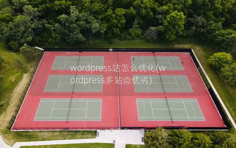 wordpress站怎么优化(wordpress多站点优劣)