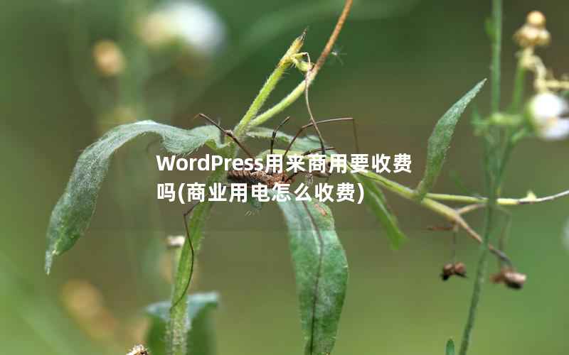 WordPress用来商用要收费吗(商业用电怎么收费)