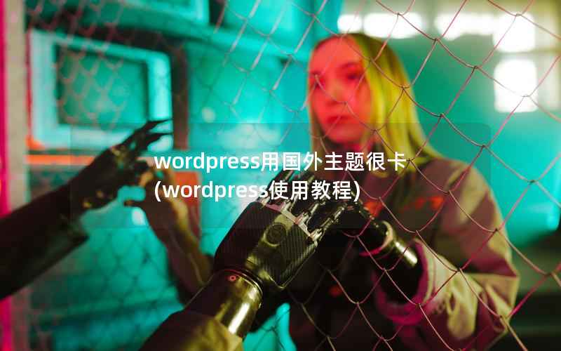 wordpress用国外主题很卡(wordpress使用教程)