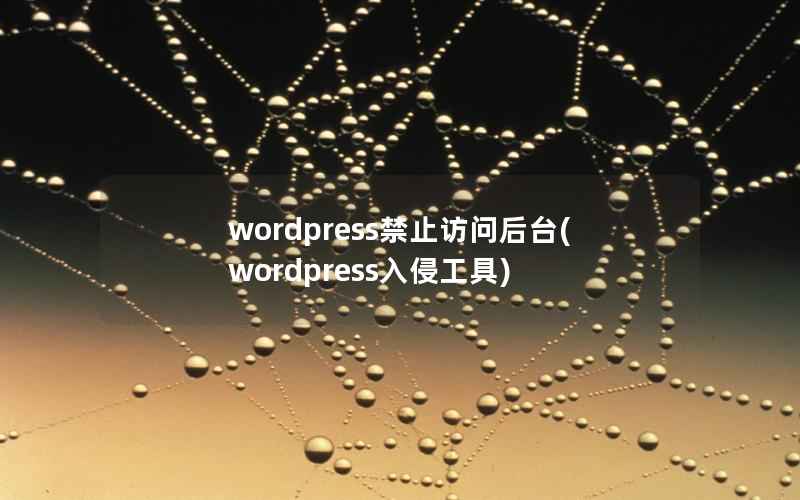 wordpress禁止访问后台(wordpress入侵工具)