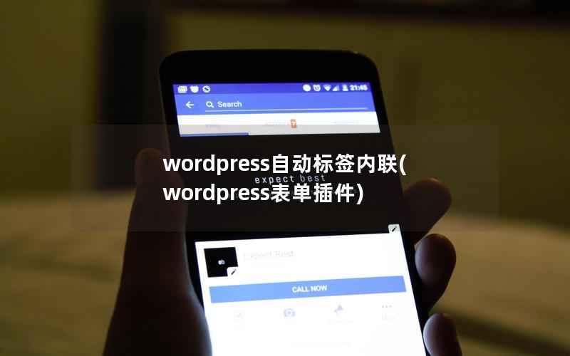 wordpress自动标签内联(wordpress表单插件)