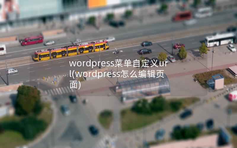 wordpress菜单自定义url(wordpress怎么编辑页面)