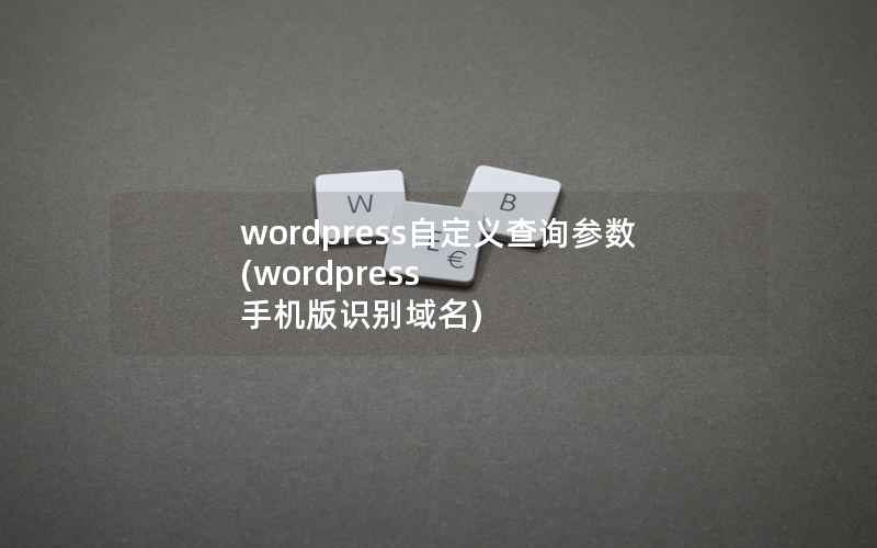 wordpress自定义查询参数(wordpress 手机版识别域名)