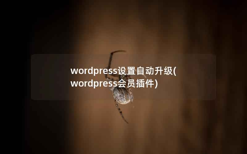 wordpress设置自动升级(wordpress会员插件)