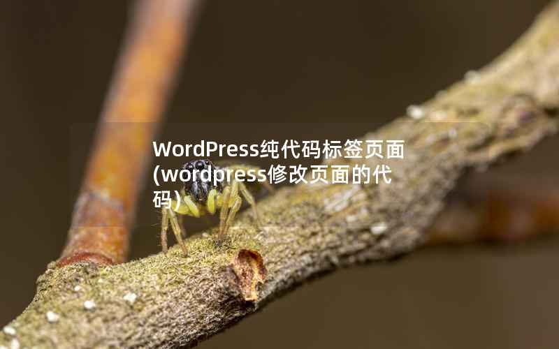 WordPress纯代码标签页面(wordpress修改页面的代码)