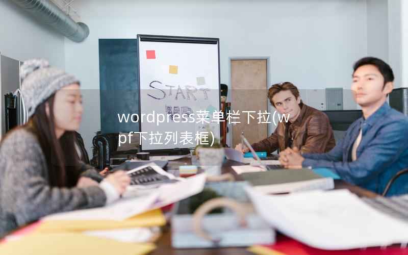 wordpress菜单栏下拉(wpf下拉列表框)