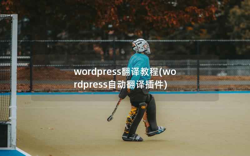 wordpress翻译教程(wordpress自动翻译插件)