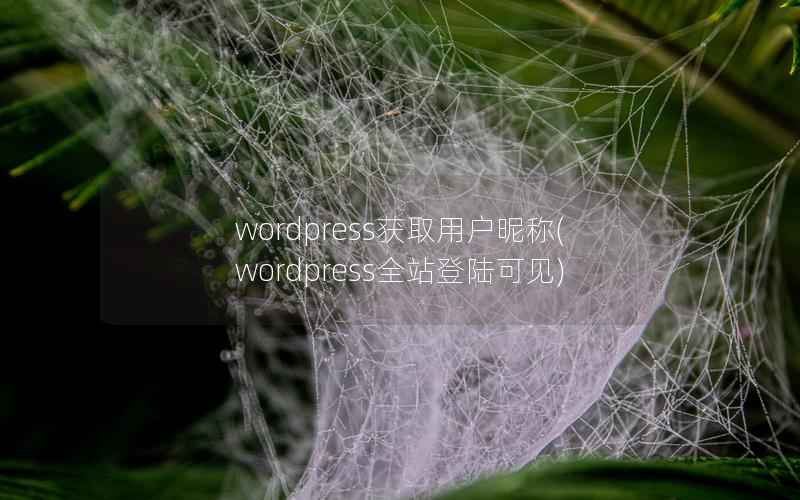 wordpress获取用户昵称(wordpress全站登陆可见)