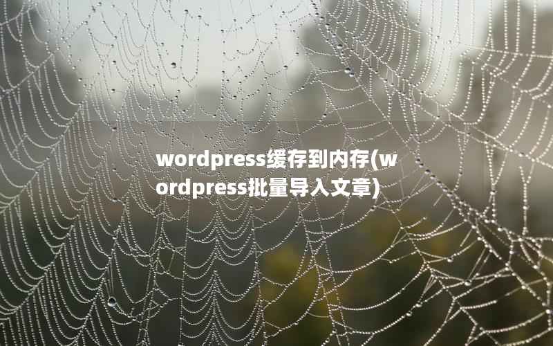 wordpress缓存到内存(wordpress批量导入文章)