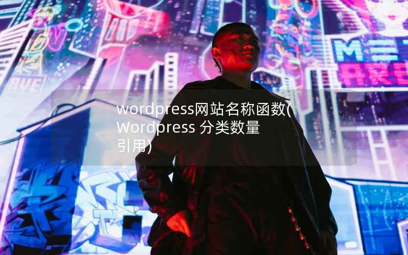 wordpress网站名称函数(Wordpress 分类数量 引用)