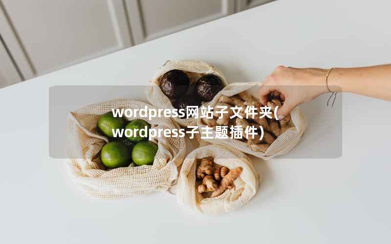 wordpress网站子文件夹(wordpress子主题插件)