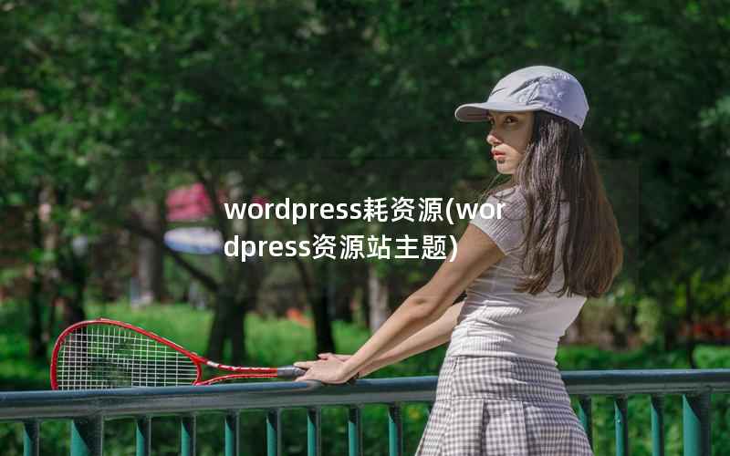 wordpress耗资源(wordpress资源站主题)