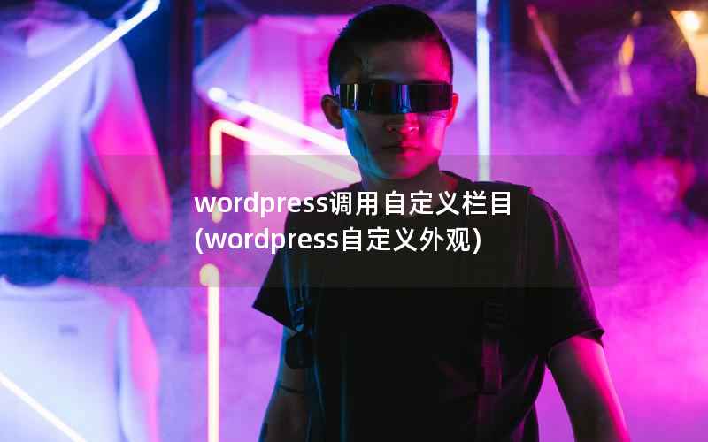 wordpress调用自定义栏目(wordpress自定义外观)