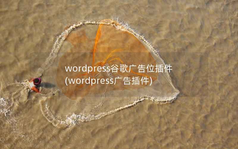 wordpress谷歌广告位插件(wordpress广告插件)