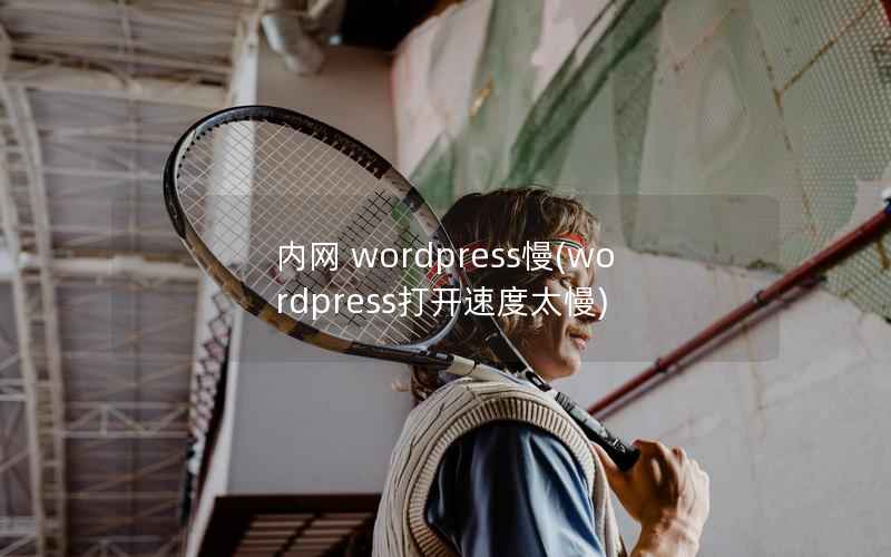 内网 wordpress慢(wordpress打开速度太慢)