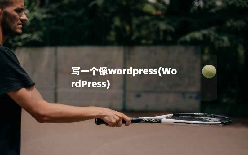 写一个像wordpress(WordPress)