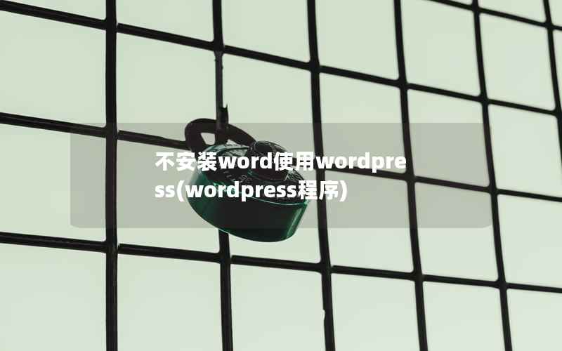 不安装word使用wordpress(wordpress程序)