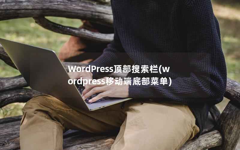 WordPress顶部搜索栏(wordpress移动端底部菜单)