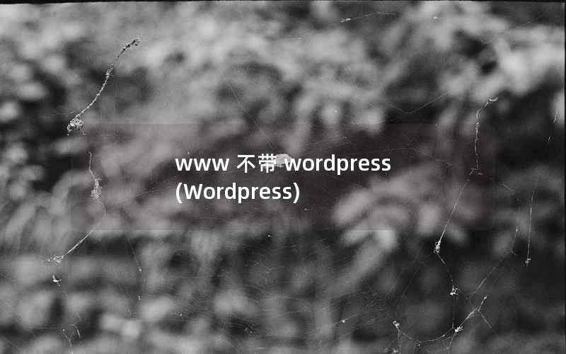 www 不带 wordpress(Wordpress)