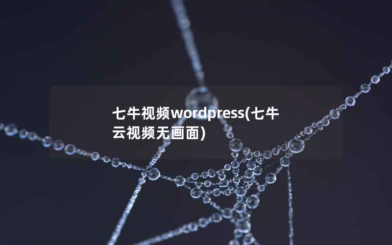 七牛视频wordpress(七牛云视频无画面)